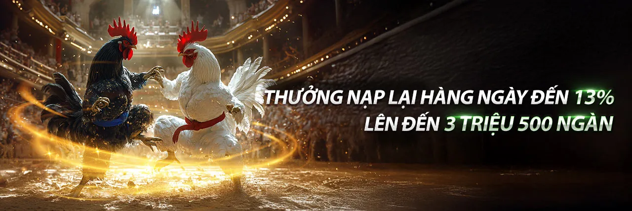 Sân đấu đá gà trực tuyến sôi động tại 88m đăng ký